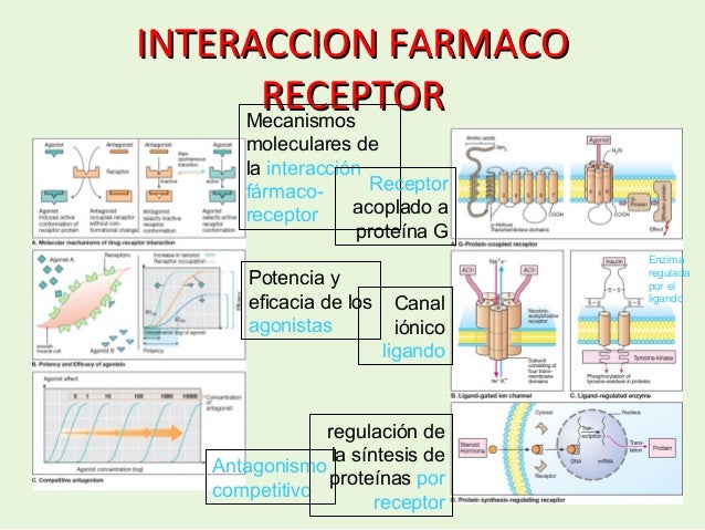 Los medios para el aumento de la potencia el foro