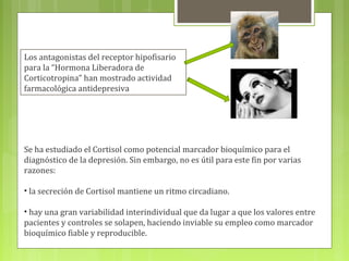 Los antagonistas del receptor hipofisario
para la “Hormona Liberadora de
Corticotropina” han mostrado actividad
farmacológica antidepresiva
Se ha estudiado el Cortisol como potencial marcador bioquímico para el
diagnóstico de la depresión. Sin embargo, no es útil para este fin por varias
razones:
• la secreción de Cortisol mantiene un ritmo circadiano.
• hay una gran variabilidad interindividual que da lugar a que los valores entre
pacientes y controles se solapen, haciendo inviable su empleo como marcador
bioquímico fiable y reproducible.
 