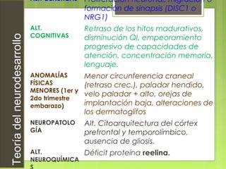 Teoríadelneurodesarrollo
ALT. GENÉTICAS Proliferación neuronal, migración o
formación de sinapsis (DISC1 o
NRG1)
ALT.
COGNITIVAS
Retraso de los hitos madurativos,
disminución QI, empeoramiento
progresivo de capacidades de
atención, concentración memoria,
lenguaje.
ANOMALÍAS
FÍSICAS
MENORES (1er y
2do trimestre
embarazo)
Menor circunferencia craneal
(retraso crec.), paladar hendido,
velo paladar + alto, orejas de
implantación baja, alteraciones de
los dermatoglifos
NEUROPATOLO
GÍA
Alt. Citoarquitectura del córtex
prefrontal y temporolímbico,
ausencia de gliosis.
ALT.
NEUROQUÍMICA
Déficit proteína reelina.
 