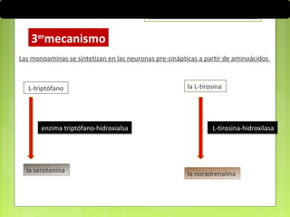 Las monoaminas se sintetizan en las neuronas pre-sinápticas a partir de aminoácidos
la serotonina
L-triptófano
enzima triptófano-hidroxialsa
la noradrenalina
la L-tirosina
L-tirosina-hidroxilasa
3er
mecanismo
 