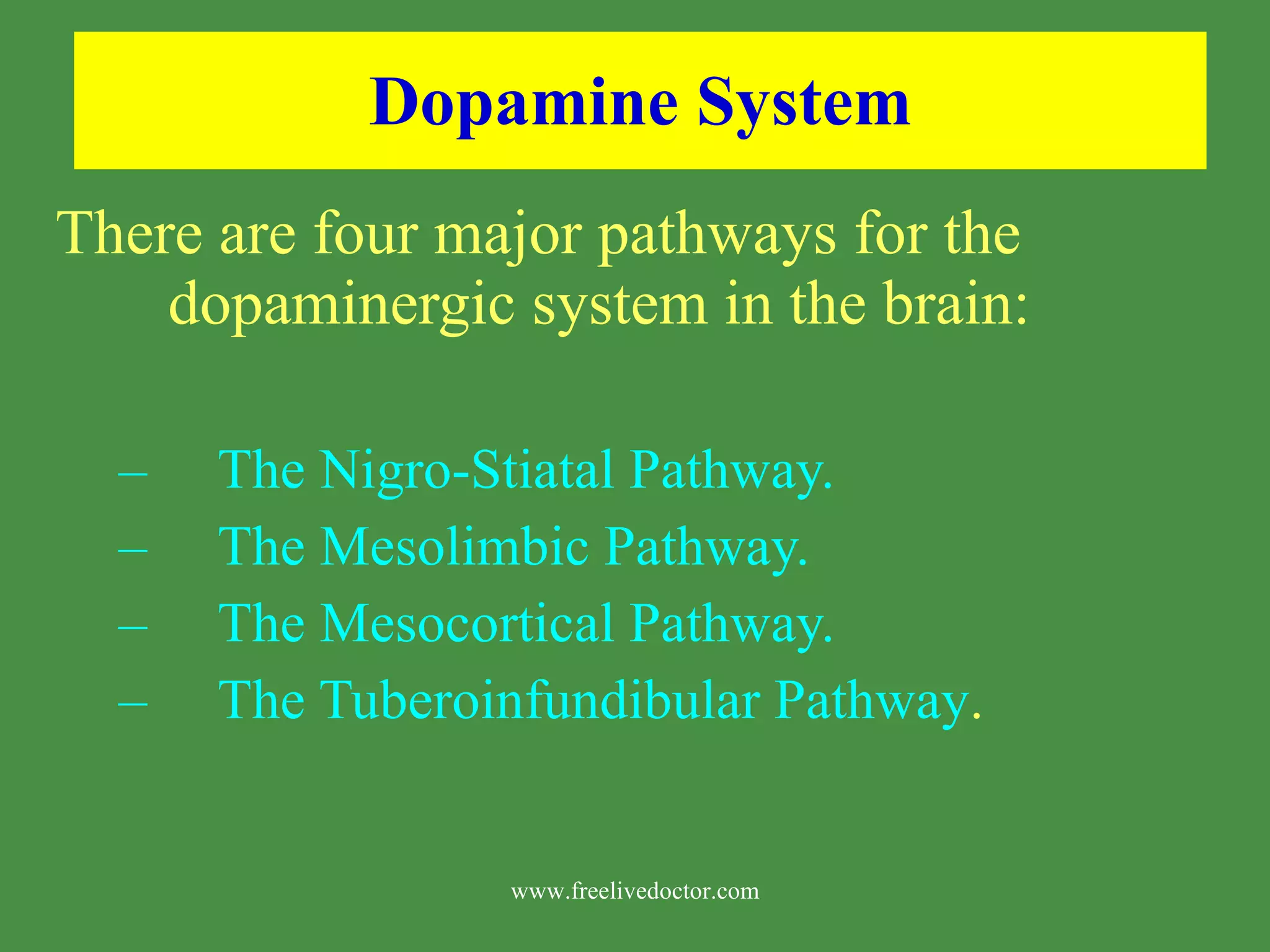 Dopamine System There are four major pathways for the dopaminergic system in the brain: The Nigro-Stiatal Pathway. The Mesolimbic Pathway. The Mesocortical Pathway. The Tuberoinfundibular Pathway . www.freelivedoctor.com