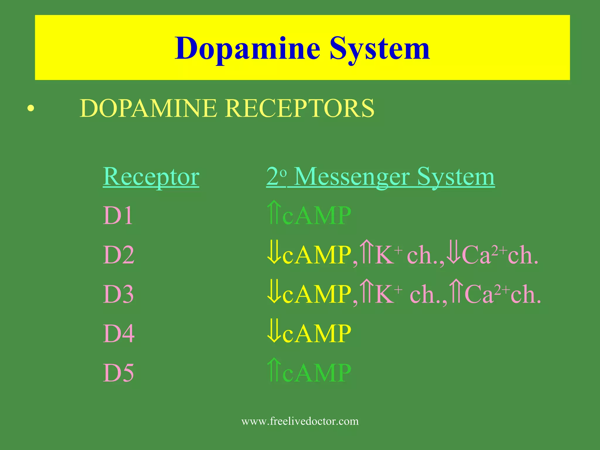 Dopamine System DOPAMINE RECEPTORS Receptor 2 o Messenger System D1 cAMP D2 cAMP , K + ch., Ca 2+ ch. D3 cAMP , K + ch., Ca 2+ ch. D4 cAMP D5 cAMP www.freelivedoctor.com