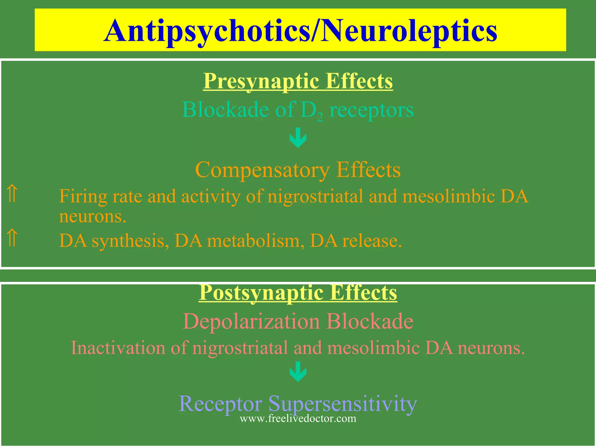 Antipsychotics/Neuroleptics Presynaptic Effects Blockade of D 2 receptors Compensatory Effects Firing rate and activity of nigrostriatal and mesolimbic DA neurons. DA synthesis, DA metabolism, DA release. Postsynaptic Effects Depolarization Blockade Inactivation of nigrostriatal and mesolimbic DA neurons. Receptor Supersensitivity www.freelivedoctor.com