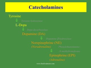 Catecholamines Tyrosine    Tyrosine hydroxylase L- Dopa    Dopa decarboxylase Dopamine (DA)    Dopamine    hydroxylase Norepinephrine (NE) (Noradrenaline) Phenylethanolamine-      -N-methyltransferase Epinephrine (EPI) (Adrenaline) www.freelivedoctor.com 