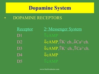 Dopamine System DOPAMINE RECEPTORS Receptor 2 o  Messenger System D1  cAMP   D2  cAMP ,  K +  ch.,  Ca 2+ ch. D3  cAMP ,  K +  ch.,  Ca 2+ ch. D4  cAMP D5  cAMP www.freelivedoctor.com 