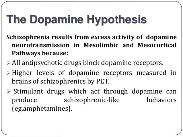 dopamine hypothesis of schizophrenia pdf