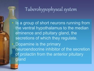 Tuberohypophyseal system
• Is a group of short neurons running from
the ventral hypothalamus to the median
eminence and pituitary gland, the
secretions of which they regulate.
• Dopamine is the primary
neuroendocrine inhibitor of the secretion
of prolactin from the anterior pituitary
gland
 