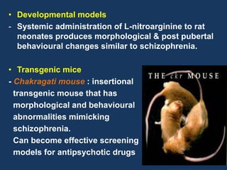 • Developmental models 
- Systemic administration of L-nitroarginine to rat 
neonates produces morphological & post pubertal 
behavioural changes similar to schizophrenia. 
• Transgenic mice 
- Chakragati mouse : insertional 
transgenic mouse that has 
morphological and behavioural 
abnormalities mimicking 
schizophrenia. 
Can become effective screening 
models for antipsychotic drugs 
45 
 