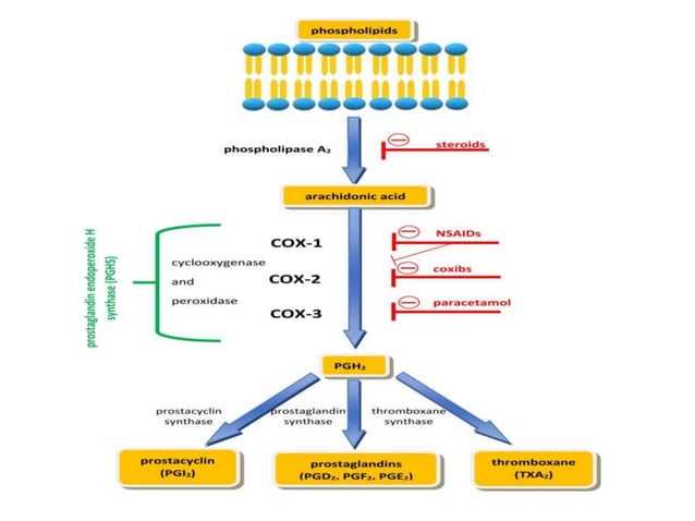 gabapentin paracetamol drug interaction