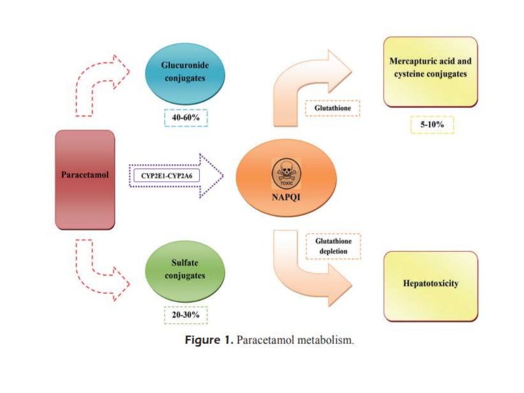 PARACETAMOL PHARMACOLOGY