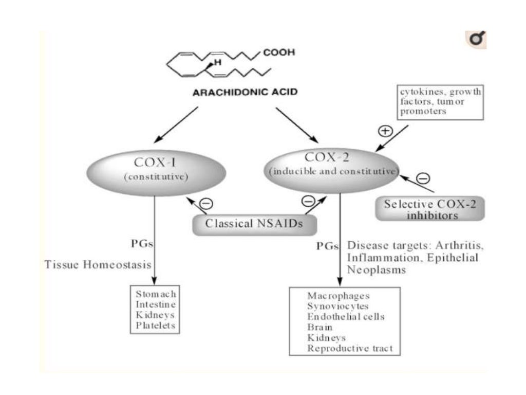 PARACETAMOL PHARMACOLOGY
