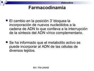 Zidovudina

               Farmacodinamia

   El cambio en la posición 3' bloquea la
    incorporación de nuevos nucleótidos a la
    cadena de ADN lo que conlleva a la interrupción
    de la síntesis del ADN vírico complementario.

   Se ha informado que el metabolito activo se
    puede incorporar al ADN de las células de
    diversos tejidos.



                  MV. FM-UNAM
 