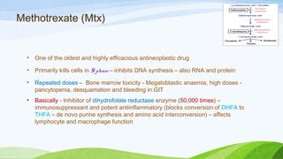Methotrexate (Mtx)
• One of the oldest and highly efficacious antineoplastic drug
• Primarily kills cells in S phase – inhibits DNA synthesis – also RNA and protein
• Repeated doses – Bone marrow toxicity - Megaloblastic anaemia, high doses -
pancytopenia, desquamation and bleeding in GIT
• Basically - Inhibitor of dihydrofolate reductase enzyme (50,000 times) –
immunosuppressant and potent antiinflammatory (blocks conversion of DHFA to
THFA – de novo purine synthesis and amino acid interconversion) – affects
lymphocyte and macrophage function
 