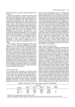 Flowe Autonomy Antirhinum | PDF