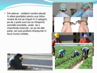  Într-adevar , cetăţenii români plecaţi
în afara graniţelor pentru a-şi ridica
nivelul de trai se împart în 2 categorii,
pe de o parte sunt cei ce întreprind

activităţi onorabile, unele de o
importanţă crescută ; iar pe de altă
parte, cei care preferă infracţiunile în
locul muncii cinstite.

 