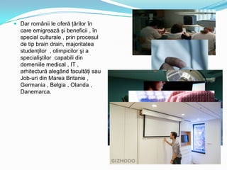  Dar românii le oferă ţărilor în
care emigrează şi beneficii , în
special culturale , prin procesul
de tip brain drain, majoritatea
studenţilor , olimpicilor şi a

specialiştilor capabili din
domeniile medical , IT ,
arhitectură alegând facultăţi sau
Job-uri din Marea Britanie ,
Germania , Belgia , Olanda ,
Danemarca.

 