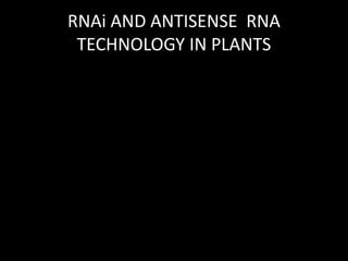 RNAi AND ANTISENSE RNA
TECHNOLOGY IN PLANTS
 