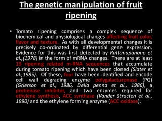 The genetic manipulation of fruit
ripening
• Tomato ripening comprises a complex sequence of
biochemical and physiological changes affecting fruit color,
flavor and texture. As with all developmental changes it is
precisely co-ordinated by differential gene expression.
Evidence for this was first detected by Rattanapanone et
al.,(1978) in the form of mRNA changes. There are at least
19 ripening related m-RNA sequences that accumulate
during tomato ripening which have been cloned (Slater et
al.,1985). Of these, four have been identified and encode
cell wall degrading enzyme polygalacturonase (PG)
(Grierson et al., 1986, Della penna et al., 1986), a
protienase inhibitor, and two enzymes required for
ethylene synthesis, ACC synthase (Vander Stracten et al.,
1990) and the ethylene forming enzyme (ACC oxidase).
 