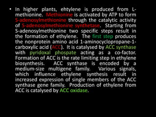 • In higher plants, ehtylene is produced from L-
methionine. Methionine is activated by ATP to form
S-adenosylmethionine through the catalytic activity
of S-adenosylmethionine synthetase. Starting from
S-adenosylmethionine two specific steps result in
the formation of ethylene. The first step produces
the nonprotein amino acid 1-aminocyclopropane-1-
carboxylic acid (ACC). It is catalysed by ACC synthase
with pyridoxal phospate acting as a co-factor.
Formation of ACC is the rate limiting step in ethylene
biosynthesis. ACC synthase is encoded by a
medium-size multigene family. Various signals,
which influence ethylene synthesis result in
increased expression of single members of the ACC
synthase gene family. Production of ethylene from
ACC is catalysed by ACC oxidase.
 