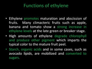 Functions of ethylene
• Ethylene promotes maturation and abscission of
fruits. Many climacteric fruits such as apple,
banana and tomato show a strong increase in
ethylene levels at the late green or breaker stage.
• High amounts of ethylene degrade chlorophyll
and produce other pigment which imparts the
typical color to the mature fruit peel.
• Starch, organic acids and in some cases, such as
avocado lipids, are mobilized and converted to
sugars.
 