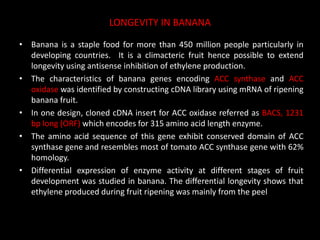 LONGEVITY IN BANANA
• Banana is a staple food for more than 450 million people particularly in
developing countries. It is a climacteric fruit hence possible to extend
longevity using antisense inhibition of ethylene production.
• The characteristics of banana genes encoding ACC synthase and ACC
oxidase was identified by constructing cDNA library using mRNA of ripening
banana fruit.
• In one design, cloned cDNA insert for ACC oxidase referred as BACS, 1231
bp long (ORF) which encodes for 315 amino acid length enzyme.
• The amino acid sequence of this gene exhibit conserved domain of ACC
synthase gene and resembles most of tomato ACC synthase gene with 62%
homology.
• Differential expression of enzyme activity at different stages of fruit
development was studied in banana. The differential longevity shows that
ethylene produced during fruit ripening was mainly from the peel
 