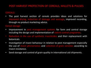 POST HARVEST PROTECTION OF CEREALS, MILLETS & PULSES
CEREALS:
• The post harvest section of cereals provides ideas and solutions for
improved drying, reduction of damage and wastage, improved recording,
through no product marketing advice.
Cereal storage:
• Improvement in pest management systems for farm and central storage
including the design and implementation of rodent control programes.
• Reduction in the use of synthetic insecticides and their replacement with
botanicals.
• Investigation of insect behaviour in relation to pest management especially
the use of insect phenomenas and selection of grain varieties according to
insect resistance.
• Seed storage and control of grain quality in international aid shipments.
 