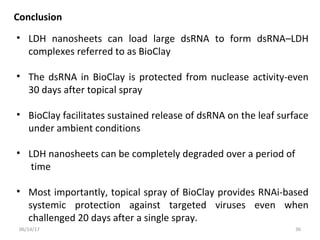 Antisense and rnai | PPT