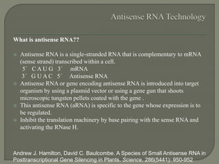 What is antisense RNA??
 Antisense RNA is a single-stranded RNA that is complementary to mRNA
(sense strand) transcribed within a cell.
5´ C A U G 3´ mRNA
3´ G U A C 5´ Antisense RNA
 Antisense RNA or gene encoding antisense RNA is introduced into target
organism by using a plasmid vector or using a gene gun that shoots
microscopic tungsten pellets coated with the gene .
 This antisense RNA (aRNA) is specific to the gene whose expression is to
be regulated.
 Inhibit the translation machinery by base pairing with the sense RNA and
activating the RNase H.
Andrew J. Hamilton, David C. Baulcombe. A Species of Small Antisense RNA in
Posttranscriptional Gene Silencing in Plants. Science. 286(5441): 950-952
 