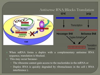  When mRNA forms a duplex with a complementary antisense RNA
sequence, translation is blocked.
 This may occur because-
• The ribosome cannot gain access to the nucleotides in the mRNA or
• Duplex RNA is quickly degraded by ribonucleases in the cell ( RNA
interference ).
 