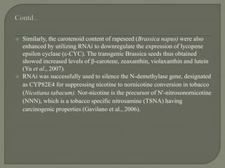  Similarly, the carotenoid content of rapeseed (Brassica napus) were also
enhanced by utilizing RNAi to downregulate the expression of lycopene
epsilon cyclase (ε-CYC). The transgenic Brassica seeds thus obtained
showed increased levels of β-carotene, zeaxanthin, violaxanthin and lutein
(Yu et al., 2007).
 RNAi was successfully used to silence the N-demethylase gene, designated
as CYP82E4 for suppressing nicotine to nornicotine conversion in tobacco
(Nicotiana tabacum). Nor-nicotine is the precursor of N'-nitrosonornicotine
(NNN), which is a tobacco specific nitrosamine (TSNA) having
carcinogenic properties (Gavilano et al., 2006).
 