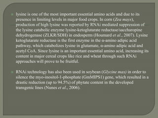  lysine is one of the most important essential amino acids and due to its
presence in limiting levels in major food crops. In corn (Zea mays),
production of high lysine was reported by RNAi mediated suppression of
the lysine catabolic enzyme lysine-ketoglutarate reductase/saccharopine
dehydrogenase (ZLKR/SDH) in endosperm (Houmard et al., 2007). Lysine
ketoglutarate reductase is the first enzyme in the α-amino adipic acid
pathway, which catabolizes lysine in glutamate, α-amino adipic acid and
acetyl CoA. Since lysine is an important essential amino acid, increasing its
content in major cereal crops like rice and wheat through such RNAi
approaches will prove to be fruitful.
 RNAi technology has also been used in soybean (Glycine max) in order to
silence the myo-inositol-1-phosphate (GmMIPS1) gene, which resulted in a
drastic reduction (up to 94.5%) of phytate content in the developed
transgenic lines (Nunes et al., 2006).
 