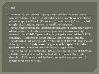  They observed that dsRNA targeting the E-subunit of vATPase can be
selectively designed and fed to a broader range of insects, including larvae
of another species of beetle (T. castaneum), moth larvae (M. sexta), aphid
nymphs (A. pisum), and dipteran larvae (D. melanogaster).
 They also demonstrated that this method could also be used to target closely
related species, for this they selected a gene that was even more highly
conserved, the ɤTub23C gene, and by targeting the more variable 3’ UTR
sequences, it is possible to design dsRNAs that are species-specific.
 They described that feeding of dsRNA to a range of different insect species,
showing that even highly conserved genes can be exploited to induce
species-limited RNAi, without affecting non-target species.
 This was the first demonstration of RNAi following ingestion of dsRNA in
all of the species tested, and the method offers promise of both higher
throughput RNAi screens and the development of a new generation of
species-specific insecticides.
 