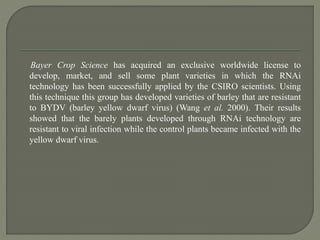 Bayer Crop Science has acquired an exclusive worldwide license to
develop, market, and sell some plant varieties in which the RNAi
technology has been successfully applied by the CSIRO scientists. Using
this technique this group has developed varieties of barley that are resistant
to BYDV (barley yellow dwarf virus) (Wang et al. 2000). Their results
showed that the barely plants developed through RNAi technology are
resistant to viral infection while the control plants became infected with the
yellow dwarf virus.
 