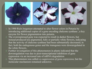  In 1990 Rich Jorgensen attempted to alter flower colors in Petunia by
introducing additional copies of a gene encoding chalcone synthase , a key
enzyme for flower pigmentation into petunia.
 The overexpressed gene was expected to result in darker flowers, but
instead produced less pigmented, fully or partially white flowers, indicating
that the activity of chalcone synthase had been substantially decreased; in
fact, both the endogenous genes and the transgenes were downregulated in
the white flowers.
 Further investigation of this phenomenon in plants indicated that the
downregulation was due to post-transcriptional inhibition of gene
expression via an increased rate of mRNA degradation
 This phenomenon was called co-suppression of gene expression, but the
molecular mechanism remained unknown.
 