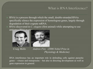  RNAi is a process through which the small, double-stranded RNAs
specifically silence the expression of homologous genes, largely through
degradation of their cognate mRNA.
 RNAi discovered in C. elegans (first animal) while attempting to use
antisense RNA in vivo
Craig Mello Andrew Fire (2006 Nobel Prize in
Physiology & Medicine)
RNA interference has an important role in defending cells against parasitic
genes – viruses and transposons – but also in directing development as well as
gene expression in general.
 