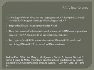  Homology of the dsRNA and the target gene/mRNA is required. Double-
stranded RNA triggers cleavage of homologous mRNA.
 Targeted mRNA is lost (degraded) after RNAi.
 The effect is non-stoichiometric; small amounts of dsRNA can wipe out an
excess of mRNA (pointing to an enzymatic mechanism).
 Two types of small RNA molecules – microRNA (miRNA) and small
interfering RNA (siRNA) – central to RNA interference.
Andrew Fire, SiQun Xu, Mary K. Montgomery, Steven A. Kostas, Samuel E.
Driver & Craig C. Mello. Potent and specific genetic interference by double-
strandedRNAin Caenorhabditis elegans. Nature. (1998) NATURE. 391: 806-
811.
 