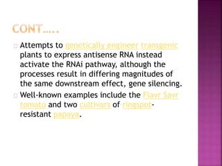 Attempts to genetically engineer transgenic
plants to express antisense RNA instead
activate the RNAi pathway, although the
processes result in differing magnitudes of
the same downstream effect, gene silencing.
Well-known examples include the Flavr Savr
tomato and two cultivars of ringspot-
resistant papaya.
 