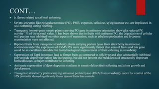 CONT…
 b. Genes related to cell wall softening:
 Several enzymes like polygalacturonase (PG), PME, expansin, cellulose, xyloglucanase etc. are implicated in
wall softening during ripening.
 Transgenic homozygous tomato plants carrying PG gene in antisense orientation showed a reduced PG
activity 1% of the normal value. It has been shown that in fruits with antisense PG, the degradation of cellular
wall pectins was inhibited but other aspects of maturation, such as ethylene production and lycopene
accumulation were not affected.
 Ripened fruits from transgenic strawberry plants carrying pectate lyase from strawberry in antisense
orientation under the expression of CaMV35S were significantly firmer than control fruits and this gene
could be an excellent candidate for biotechnological improvement of fruit softening in strawberry.
 Suppression of Exp1 in tomato lead to firmer fruits as compared to wild type and also substantially inhibited
polyuronide depolymerization late in ripening, but did not prevent the breakdown of structurally important
hemicelluloses, a major contributor to softening.
 Antisense suppression of deoxyhypusine synthase in tomato delays fruit softening and alters growth and
development.
 Transgenic strawberry plants carrying antisense pectate lyase cDNA from strawberry under the control of the
35S promoter showed significantly firmer ripened fruits than controls.
 