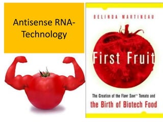 Antisense RNA-Technology 