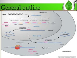 Antisense genes in plants and their applications in crop improvement | PPTX