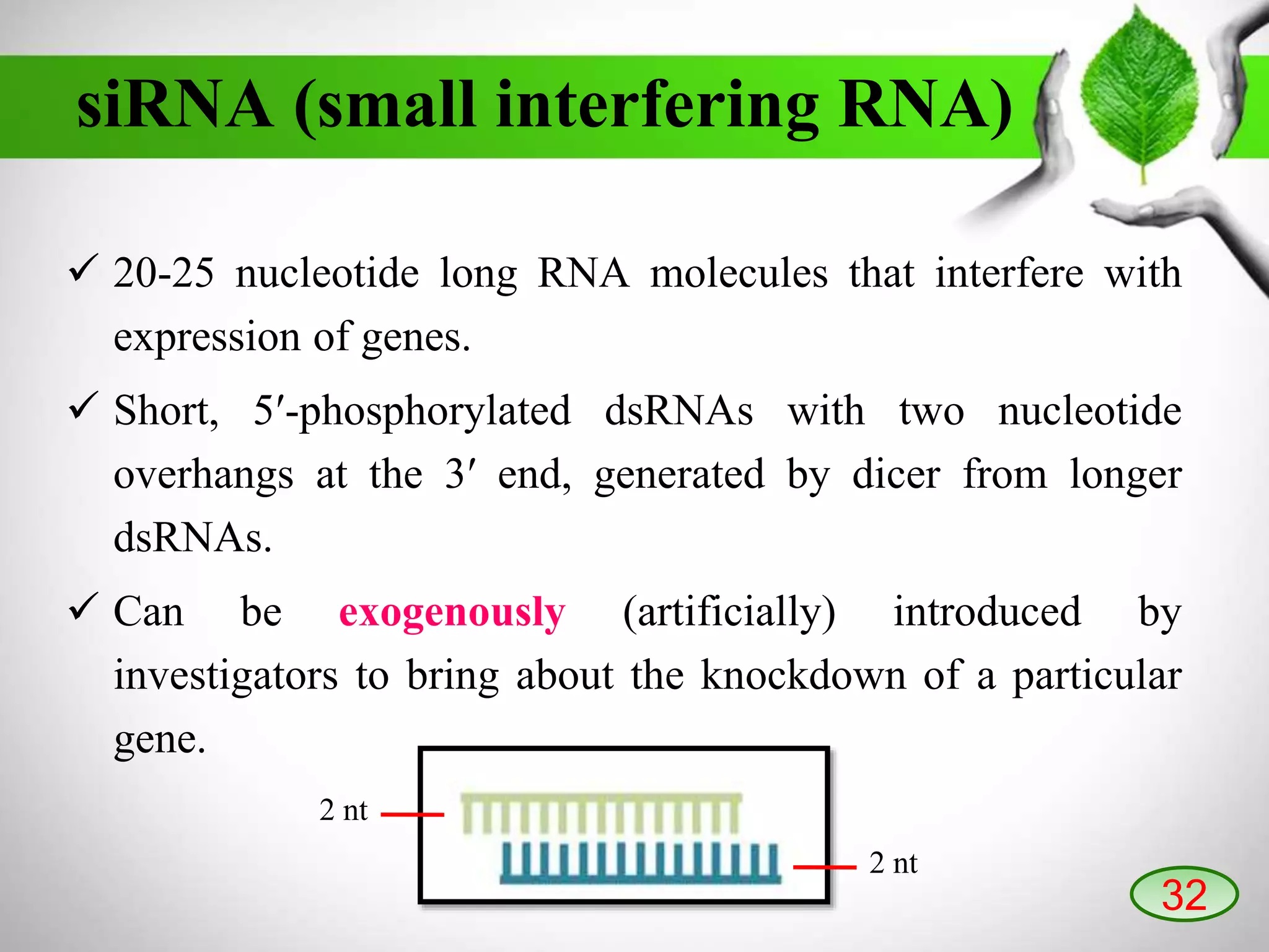 siRNA (small interfering RNA)
 20-25 nucleotide long RNA molecules that interfere with
expression of genes.
 Short, 5′-phosphorylated dsRNAs with two nucleotide
overhangs at the 3′ end, generated by dicer from longer
dsRNAs.
 Can be exogenously (artificially) introduced by
investigators to bring about the knockdown of a particular
gene.
2 nt
2 nt
32
 