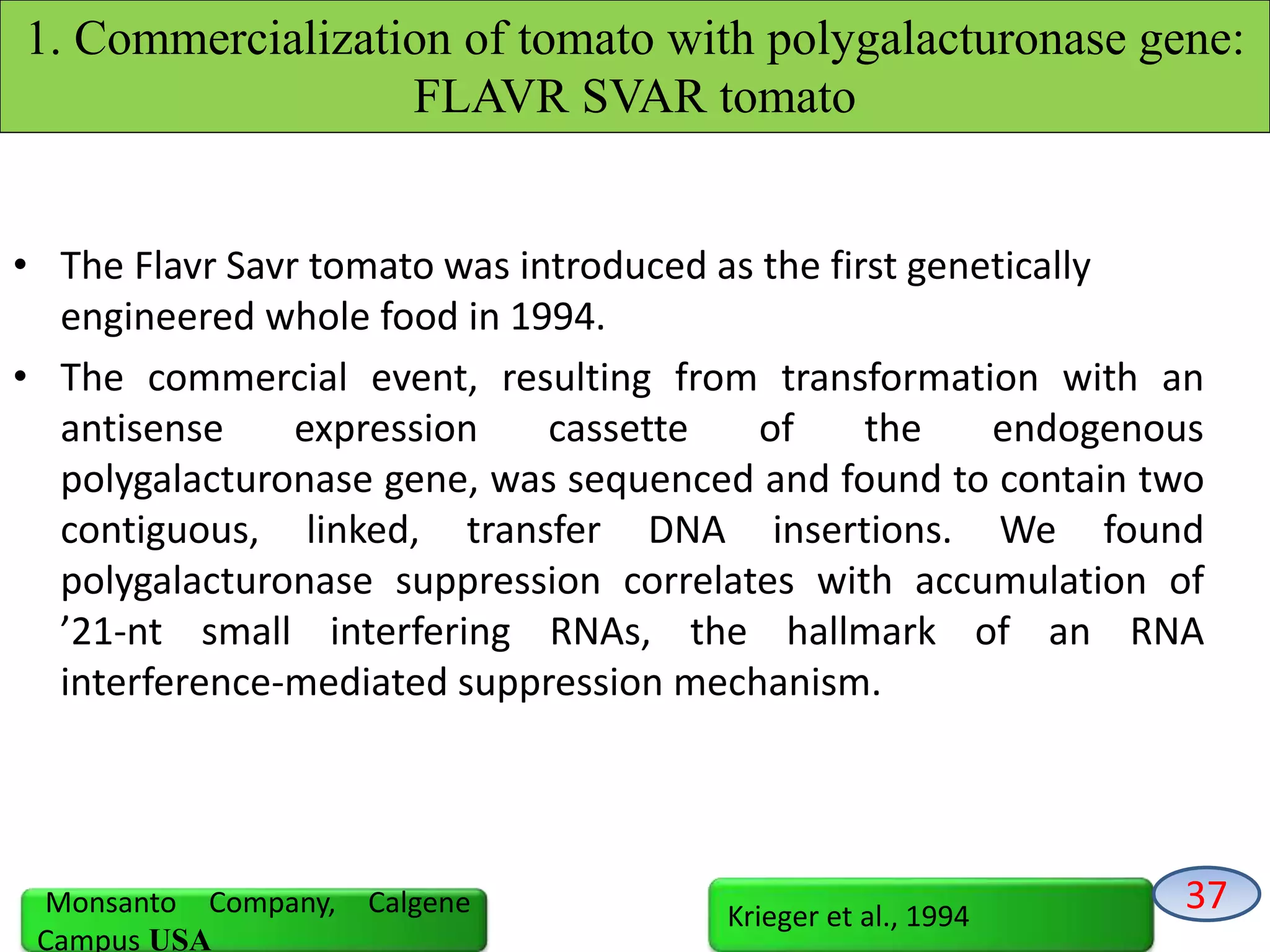 • The Flavr Savr tomato was introduced as the first genetically
engineered whole food in 1994.
• The commercial event, resulting from transformation with an
antisense expression cassette of the endogenous
polygalacturonase gene, was sequenced and found to contain two
contiguous, linked, transfer DNA insertions. We found
polygalacturonase suppression correlates with accumulation of
’21-nt small interfering RNAs, the hallmark of an RNA
interference-mediated suppression mechanism.
Krieger et al., 1994
1. Commercialization of tomato with polygalacturonase gene:
FLAVR SVAR tomato
Monsanto Company, Calgene
Campus USA
37
 