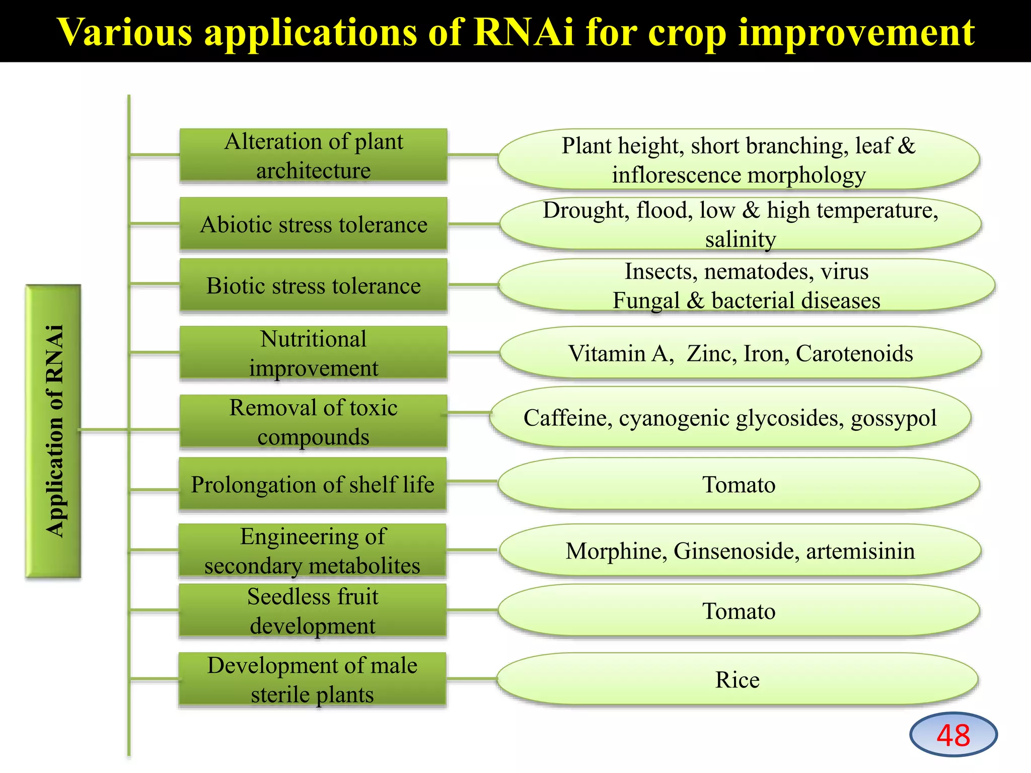 ApplicationofRNAi
Alteration of plant
architecture
Plant height, short branching, leaf &
inflorescence morphology
Abiotic stress tolerance
Biotic stress tolerance
Nutritional
improvement
Removal of toxic
compounds
Prolongation of shelf life
Engineering of
secondary metabolites
Seedless fruit
development
Development of male
sterile plants
Caffeine, cyanogenic glycosides, gossypol
Tomato
Morphine, Ginsenoside, artemisinin
Tomato
Rice
Insects, nematodes, virus
Fungal & bacterial diseases
Vitamin A, Zinc, Iron, Carotenoids
Drought, flood, low & high temperature,
salinity
Various applications of RNAi for crop improvement
48
 