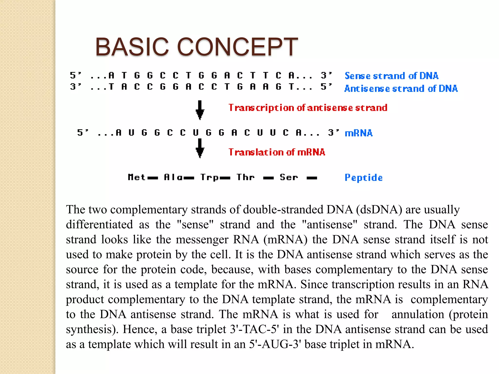 Antisense technologies and antisense oligonucleotides | PPTX | Chemistry | Science