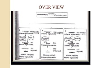 Antisense technologies and antisense oligonucleotides | PPTX
