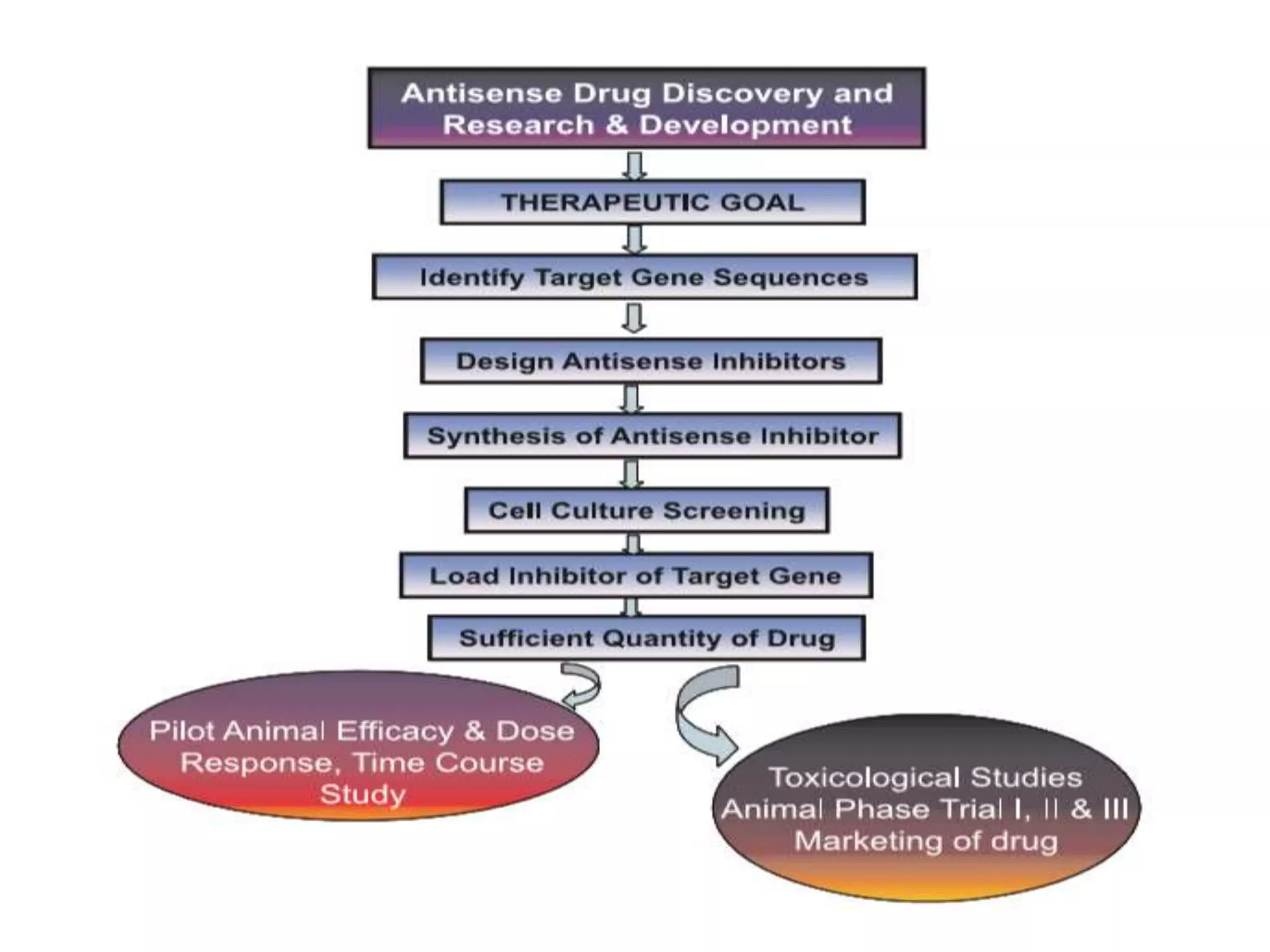 Antisense technology