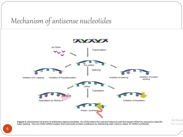 Antisense technology | PPTX