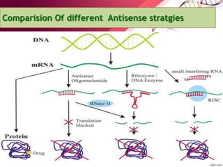 Comparision Of different Antisense stratgies
 