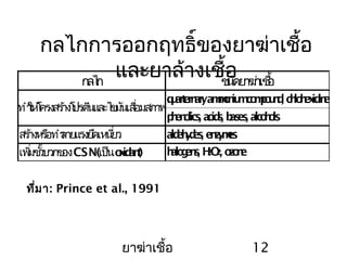ยาฆ่าเชื้อ 12
กลไกการออกฤทธิ์ของยาฆ่าเชื้อ
และยาล้างเชื้อ
ที่มา: Prince et al., 1991
กลไก ชนิดยาฆ่าเชื้อ
quarternaryammoniumcompound, chlohexidine
phenolics, acids, bases, alcohols
สร้างหรือทำาลายแรงยึดเหนี่ยว aldehydes, enzymes
CSN( oxidant)เพิ่มขั้วบวกของ เป็น halogens, H2O2, ozone
ทำาให้โครงสร้างโปรตีนและไขมันเสื่อมสภาพ
 