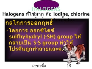 ยาฆ่าเชื้อ 19
HALOGENS
กลไกการออกฤทธิ์
•โดยการ ออกซิไดซ์
sulfhyhydryl (-SH) group ให้
กลายเป็น S-S group ทำาให้
โปรตีนถูกทำาลายและตกตะกอน
Halogens ที่ใช้มาก คือ Iodine, chlorine
และ อนุพันธ์ของสารทั้งสอง
 